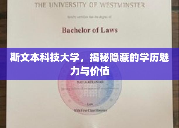 斯文本科技大学，揭秘隐藏的学历魅力与价值