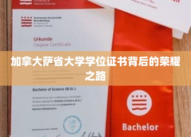 探索加拿大萨省大学学位证书的辉煌征程