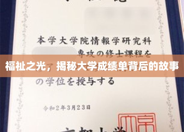 揭开成绩单背后的秘密，大学生的成长轨迹大揭秘