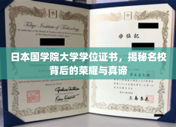 日本国学院大学学位证书，揭秘名校背后的荣耀与真谛