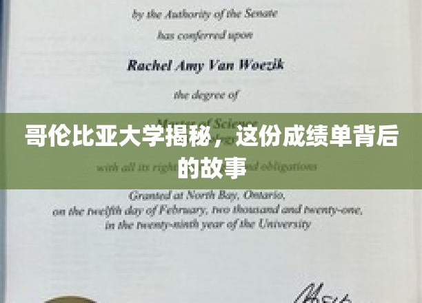 哥大成绩单背后，揭开顶尖学府的选拔密码