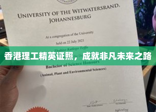 香港理工大学精英证照，铺就非凡未来之路