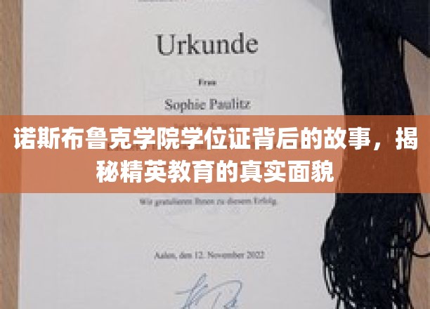 诺斯布鲁克学院学位证背后的传奇，探寻精英教育的隐秘世界