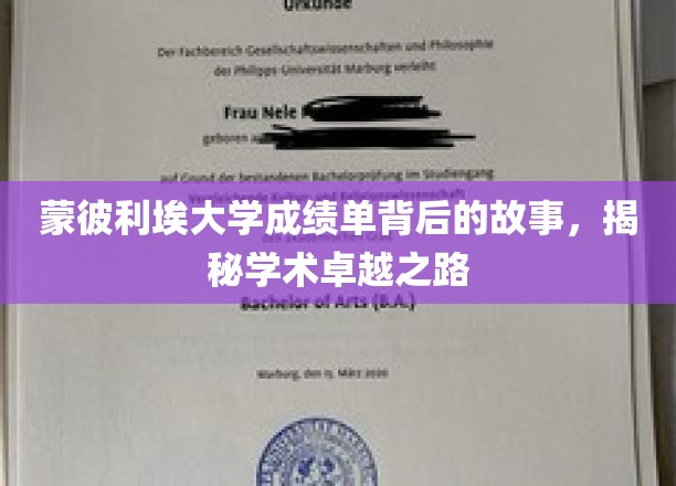 探寻蒙彼利埃大学成绩单背后的传奇，学术卓越的非凡旅程