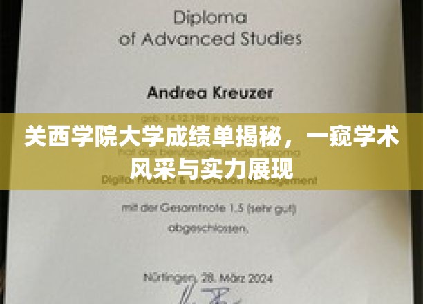 关西学院大学成绩单揭秘，一窥学术风采与实力展现