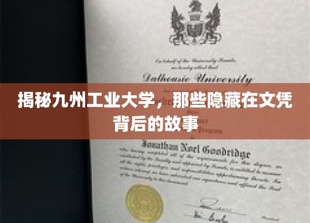 探秘九州工业大学，揭开文凭背后的真实传奇