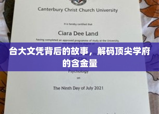 台大文凭的秘密，探寻顶尖大学的真实价值