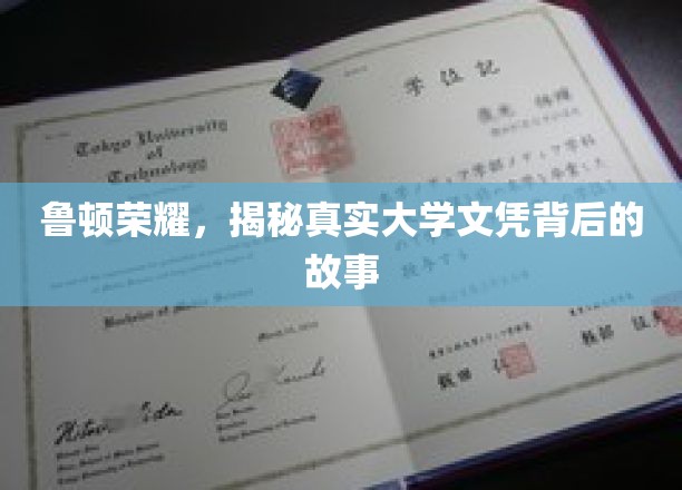探寻鲁顿荣耀，揭秘大学文凭背后的不为人知传奇