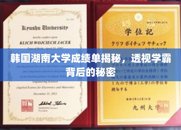 韩国湖南大学学霸成绩单曝光，揭秘学习高手养成记