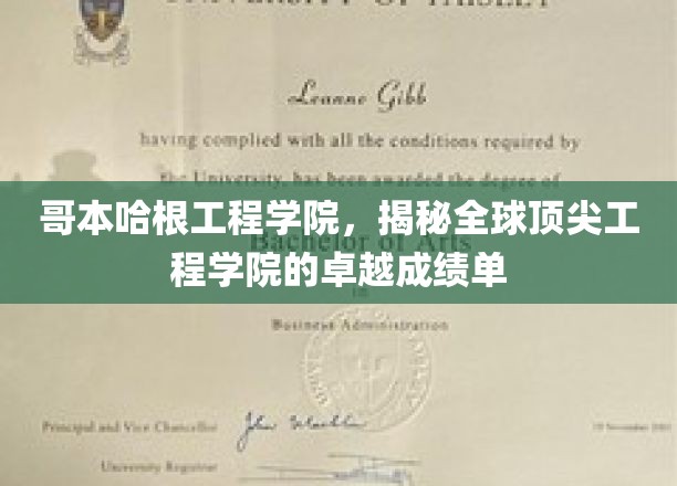 哥本哈根工程学院，揭秘全球顶尖工程学院的卓越成绩单