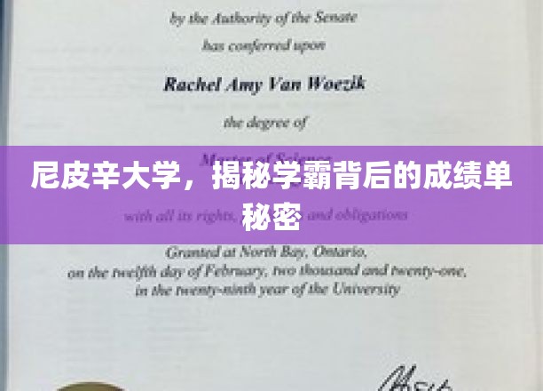 尼皮辛学霸养成记，揭秘成绩单背后的神秘力量