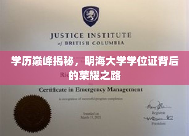 学历巅峰揭秘，明海大学学位证背后的荣耀之路