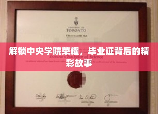 中央荣耀揭秘，毕业证背后的传奇历程