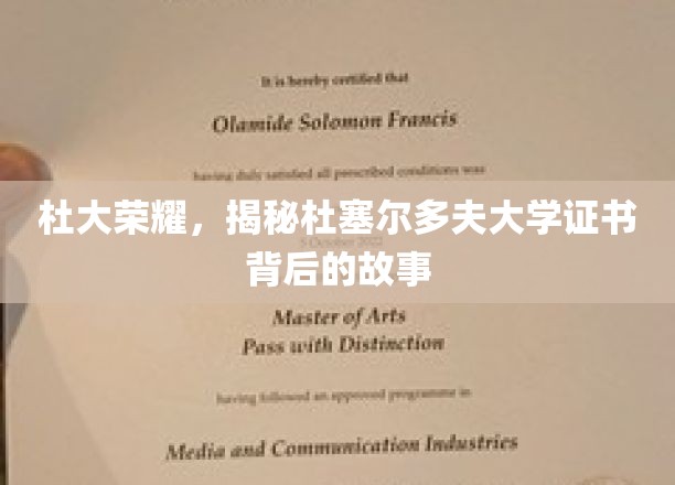 杜大荣耀揭秘，杜塞尔多夫大学证书背后的传奇之旅