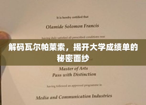 探索瓦尔帕莱索的学术密码，揭秘隐藏在成绩单背后的奥秘