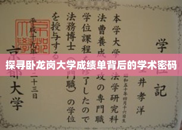 解码卧龙岗大学成绩单，揭示学术成就的秘密之门