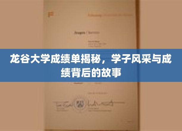 龙谷学子荣耀背后，揭秘成绩单中的成长轨迹与励志故事