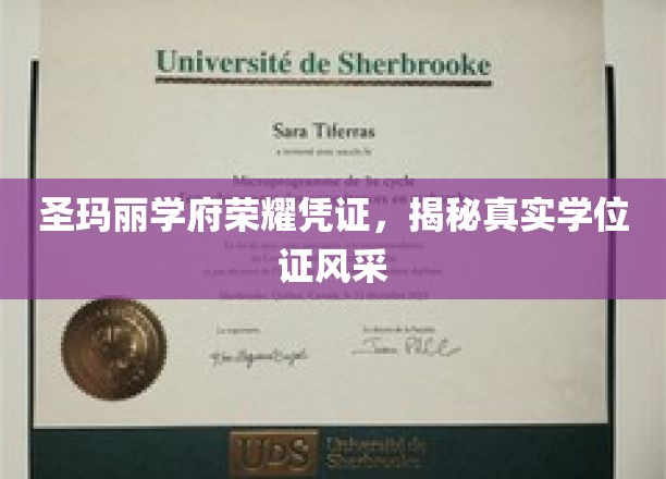 圣玛丽学府学位证魅力揭秘，一纸凭证，荣耀见证非凡成就