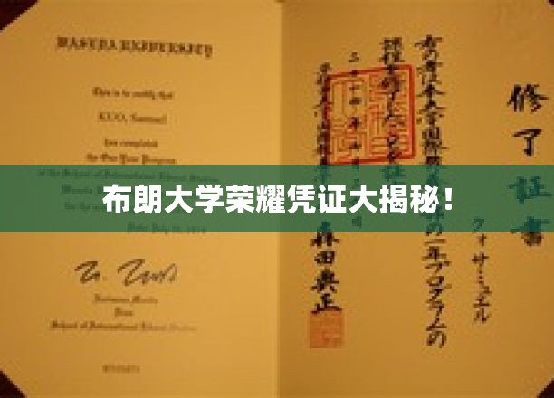 布朗大学神秘荣誉证书背后的故事大揭秘