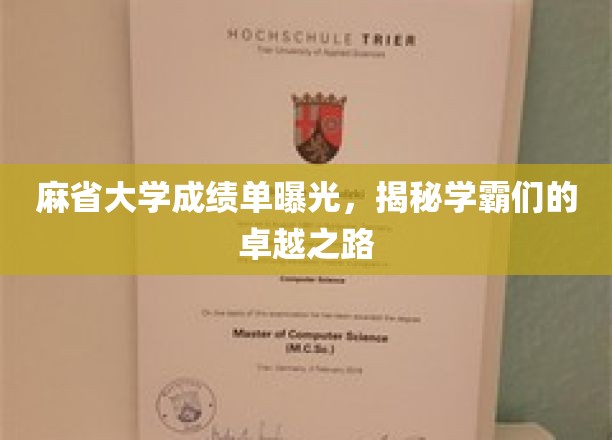 麻省学霸档案公开，揭秘顶尖学府的学术传奇