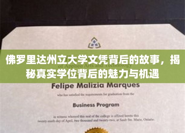揭秘，佛罗里达州立大学文凭背后的独特魅力与无限机遇