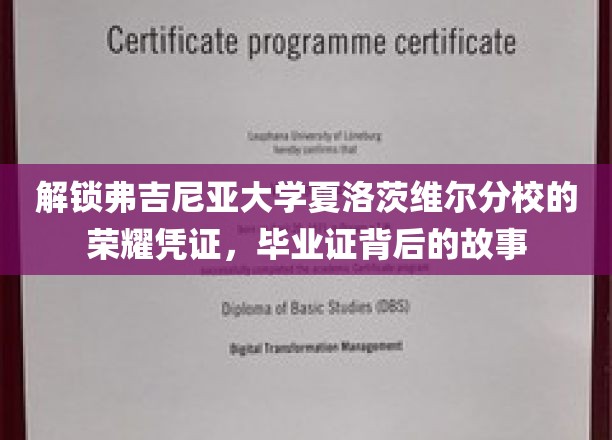 探寻弗吉尼亚大学荣耀印记，毕业证书背后的传奇历程