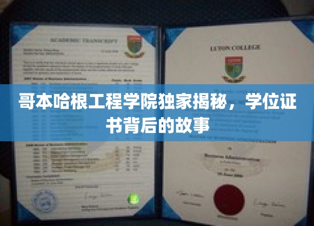 哥本哈根工程学子独家解密，学位证书背后的非凡旅程