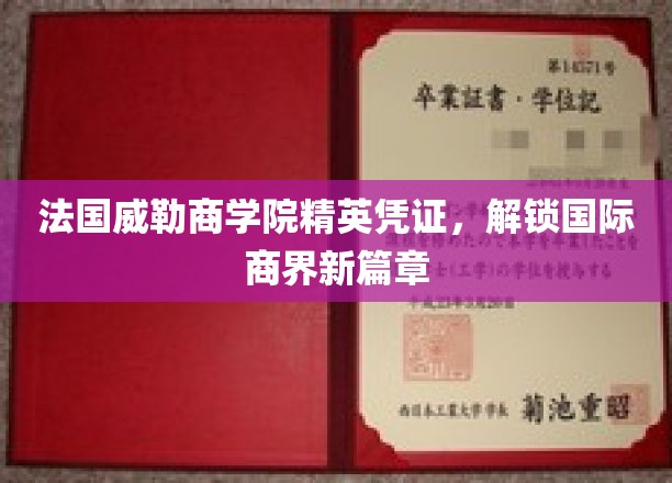 威勒精英护照，法国商学院引领全球商业新纪元