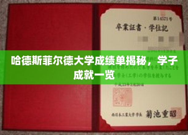 哈德斯菲尔德大学成绩单揭秘，学子成就一览