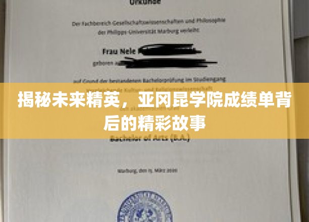 解码亚冈昆精英，揭秘学院学霸背后的成长传奇