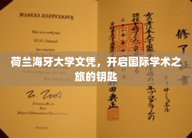 解锁全球学术殿堂，荷兰海牙大学文凭，您的国际学术通行证
