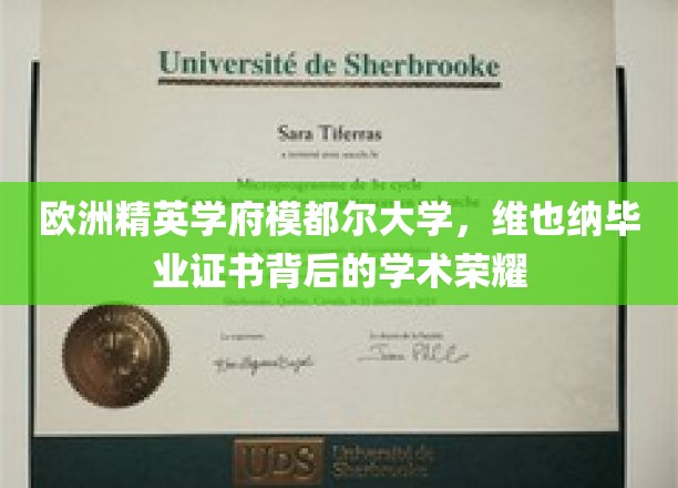 揭开维也纳模都尔大学精英光环，毕业证书背后的学术传奇