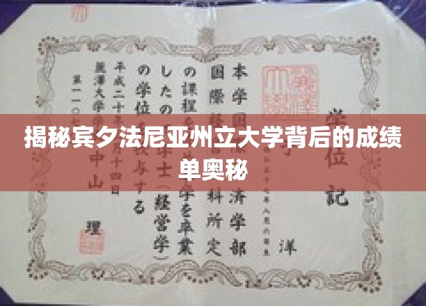 宾夕法尼亚州立大学，探寻学术成绩的神秘面纱