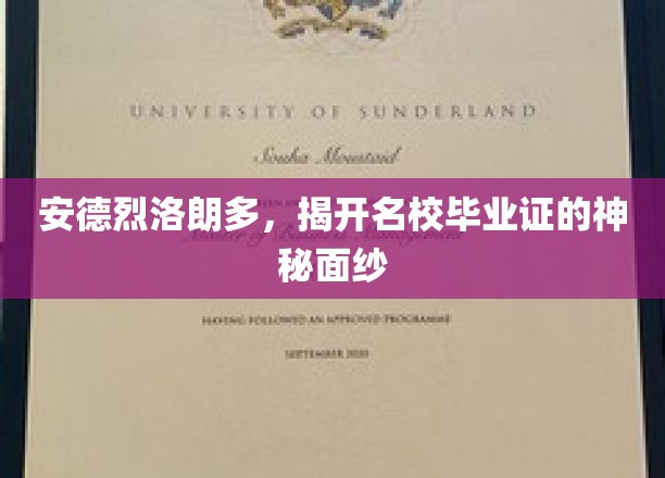 安德烈洛朗多，揭开名校毕业证的神秘面纱
