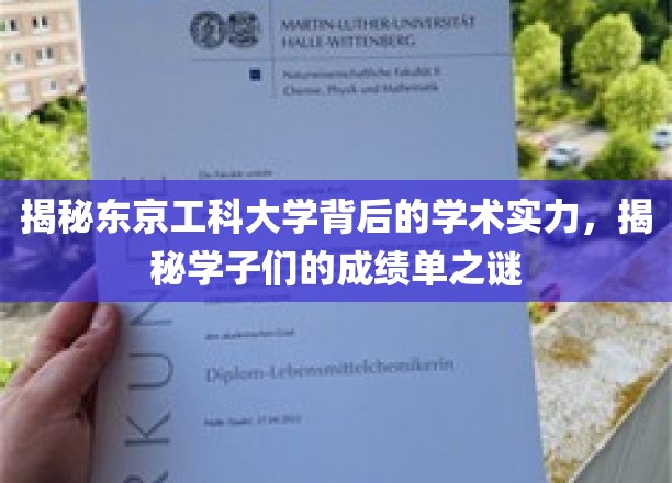 探寻东京工科大学卓越学术魅力，揭秘学子非凡成就之路