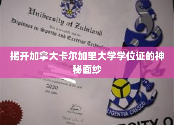 揭开加拿大卡尔加里大学学位证的神秘面纱
