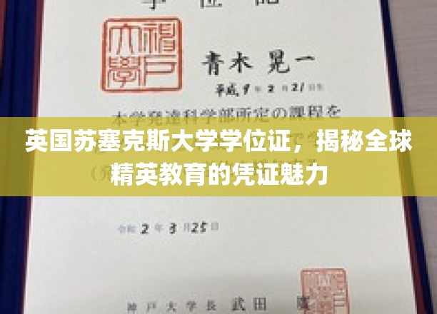 英国苏塞克斯大学学位证，解锁世界精英教育的璀璨钥匙