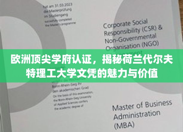 荷兰代尔夫特理工，欧洲精英教育认证，解锁全球认可的高学历魅力
