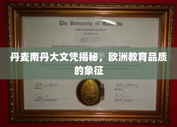 丹麦南丹麦大学文凭揭秘，欧洲教育品质的象征
