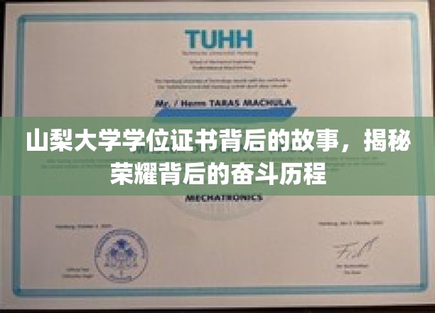 山梨大学荣耀证书背后，一场青春与梦想的奋斗之旅