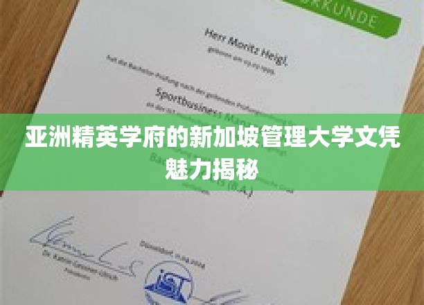 新加坡管理大学，解码国际认可的精英教育通行证