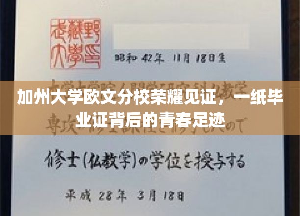 青春足迹闪耀加州，欧文分校毕业证背后的荣耀篇章