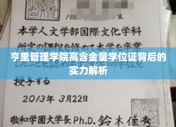 亨里管理学院高含金量学位证背后的实力解析
