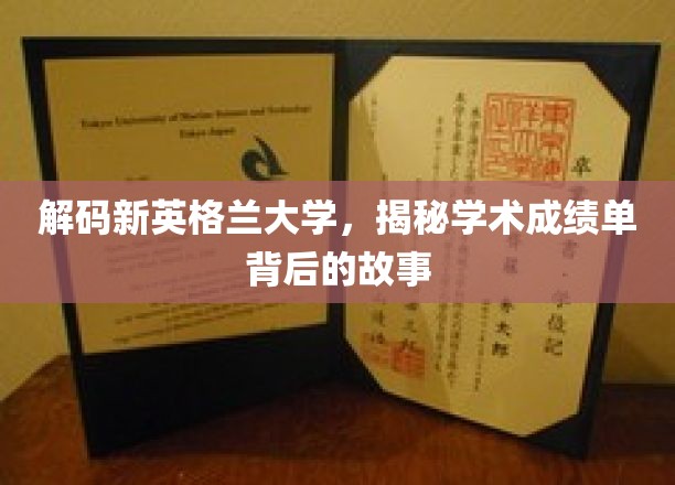 探秘新英格兰大学，揭秘隐藏在成绩单中的秘密世界