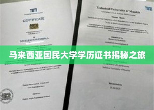 探索马大文凭背后的奥秘，马来西亚国民大学学历证书探秘记
