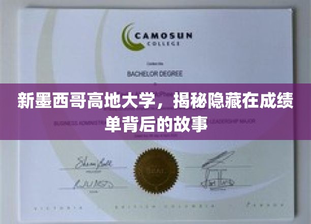 探寻新墨西哥高地大学成绩单背后的惊人真相