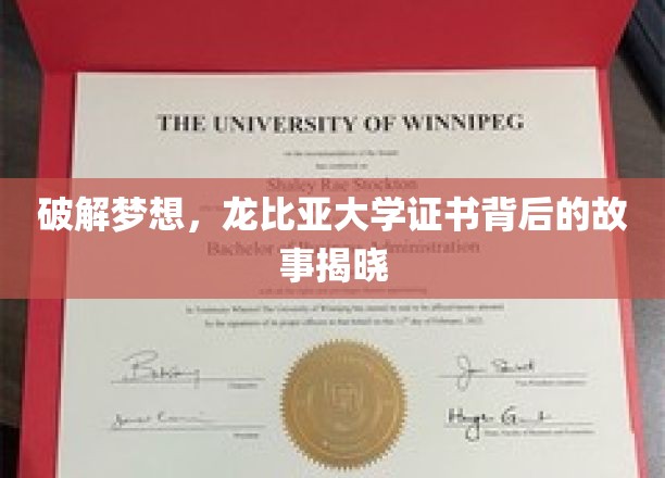 解码龙比亚荣耀，探索大学证书背后的追梦传奇