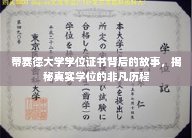 探寻蒂赛德大学学位证书的非凡旅程，背后的传奇故事