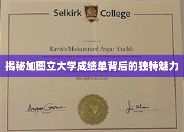 探寻加图立大学成绩单的独特奥秘