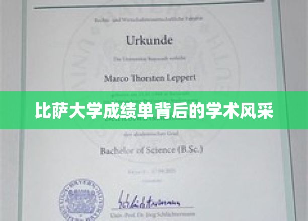 探寻比萨大学成绩单背后的学术璀璨之光